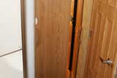 Privacy Door